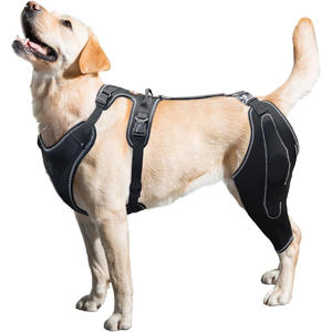 Protector de Piernas Traseras para Perros, Soporte Metálico Auxiliar Quirúrgico, <span class=keywords><strong>Rodillera</strong></span> Ajustable para Perros - Product Image 2