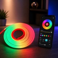 Ruban LED néon flexible RGBIC haute densité 288 LED/m DC24V 8*16mm, étanche en silicone, avec effet de poursuite