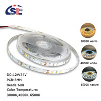 Bande lumineuse LED SMD2835 électro-plaquée DC12V 8mm 60 LED 12000K Blanc froid Contrôle vocal Garantie 3 ans pour cuisine salon