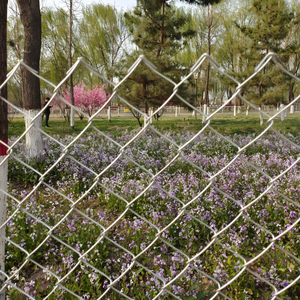 Tốt bán Nhà Máy Nông Nghiệp chuỗi cung ứng liên kết hàng rào được sản xuất bởi xianteng - Product Image 5