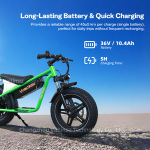 New <strong>Product</strong> 36v 10.4Ah 350w <strong>Motor</strong> Fatbike Fat Tire Mountain City Pedal Assisted E-<strong>bike</strong> 16 Inch Electric Dirt <strong>Bike</strong> - Product Image 2