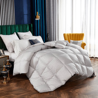 Edredon Frühling Herbst Winter Queen Bettdecke Super King Enten- und Gänsedaunen Komfortdecke Camping Hotel Bettdecke 160 Daunendecke