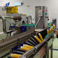 Ligne de production complète de jus de pomme industrielle pour le traitement du jus de mangue et d'ananas avec équipement de pasteurisation stable