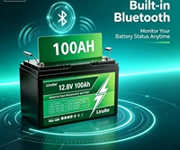 Batterie LiFePO4 12V 24V 50Ah 100Ah 200Ah à décharge profonde pour bateau de pêche, moteur de pêche à la traîne, yacht marin, étanche, garantie 5 ans