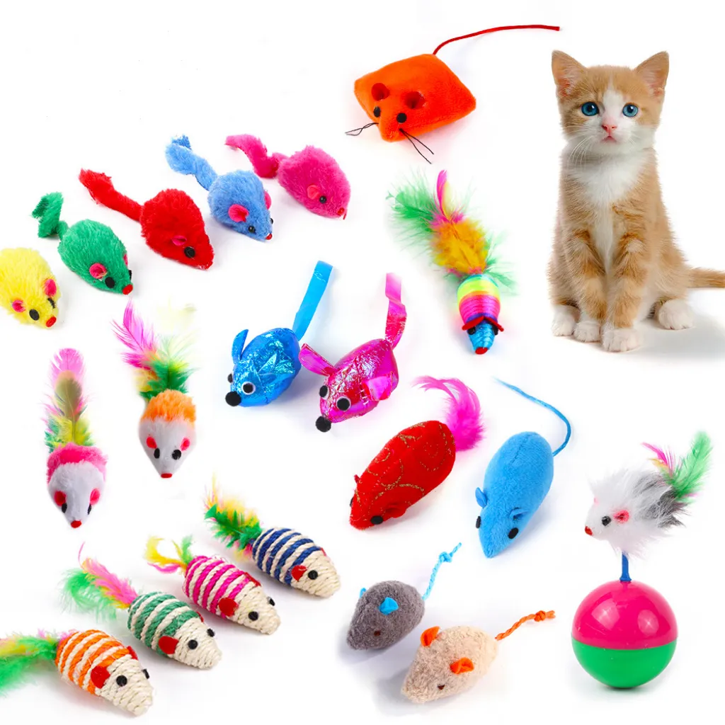 Nuovo gatto di peluche che gioca con erba gatta di piume colorate piccolo topo che gioca a gatto