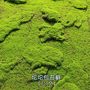 Mur végétal artificiel Stupid Bird en mousse, décoration de pelouse pour la maison, intérieur, extérieur, jardin, paysage, revêtement mural végétal artistique - Product Image 4