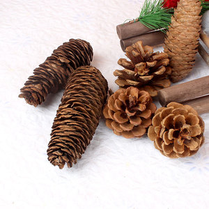 2025 Nuova Decorazione Natalizia Popolare ONE FLOWER, Grande <span class=keywords><strong>Pigna</strong></span> Naturale 2-10cm, a Forma di Albero, Ecologica e Durevole - Product Image 3