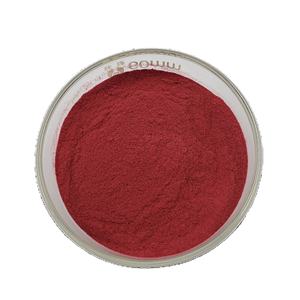 Acai Berry Powder Pure Liofilizado Acai Berry Fruit Natural Acai Berry Powder Japonés Japón - Product Image 3