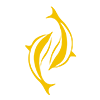 Guangzhou Dolphin Information Technology Co., Ltd. logo