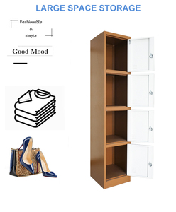 Armario de acero vertical de 2 puertas de alta calidad directo de fábrica de Guangzhou armario individual muebles de gimnasio OEM disponible - Product Image 2