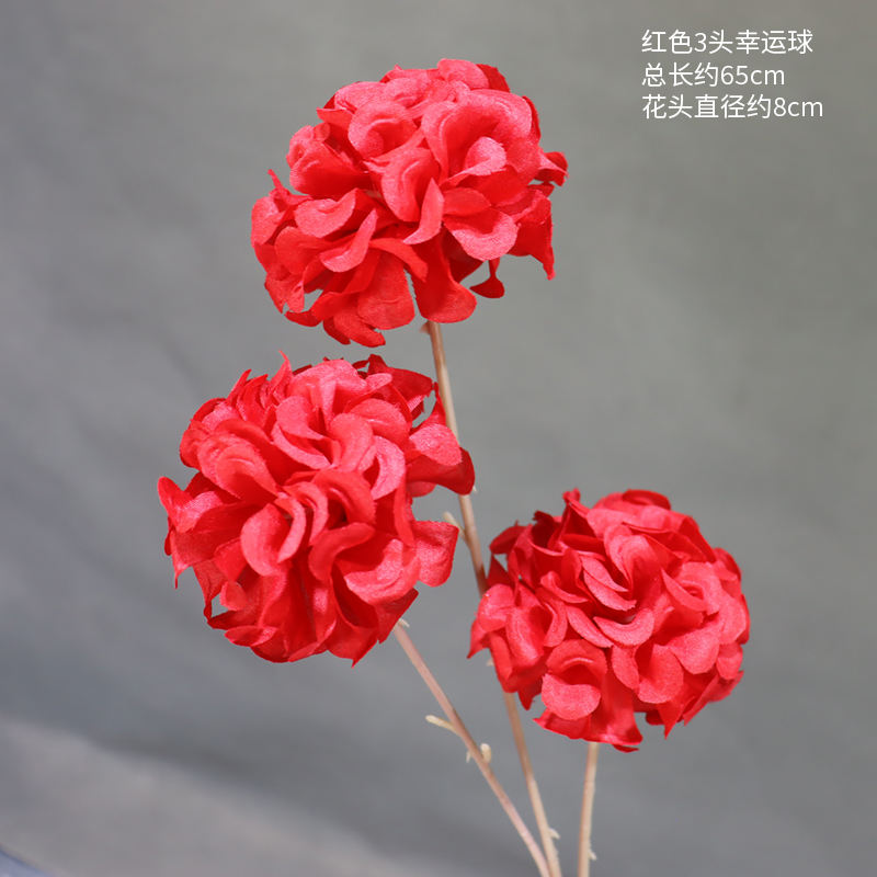 ลูกบอลนำโชค3หัวสีแดง