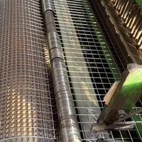 Rouleau de treillis métallique galvanisé résistant à la corrosion, treillis perforé, tailles standard et personnalisées pour le renforcement de la construction