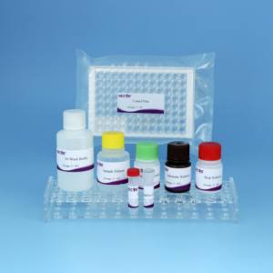 IFN-y ELISA-Kit für Rinder tuberkulose | 96T Cattle <span class=keywords><strong>TB</strong></span> Diagnostic Kit | CE-zertifizierter Veterinär <span class=keywords><strong>test</strong></span> - Product Image 4