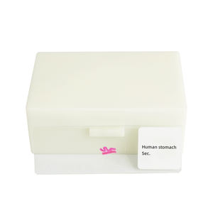 Menschlicher Magen Sec. Folie Medizinisches Labor Biologie Bildungs rutsche Human Histological Microscope Prepared Slide - Product Image 6