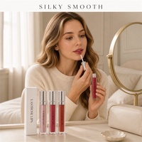 Gloss à lèvres hydratant hautement pigmenté, 3 couleurs très vendues, gloss brillant, cosmétiques en marque privée OEM