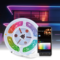 Lampu Strip LED Pintar RGBIC 5V USB, Kontrol Aplikasi WiFi 2.4G Sinkronisasi Musik Bekerja dengan Alexa Google Home Tuya Kontrol Suara Timer