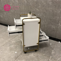 Chariot de rangement pour salon de coiffure Yicheng, vente en gros, chariot à roulettes en plastique pour salon de coiffure, chariot de rangement pas cher pour salons de coiffure