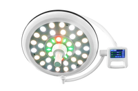Lámpara Quirúrgica Halógena de Doble Cabezal Montada en Techo para Veterinaria Longermay, Lámpara Quirúrgica LED, Precio
