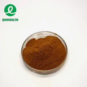 Supply Natural Pure Echinacea Extract Echinacea Purpurea Extract Powder