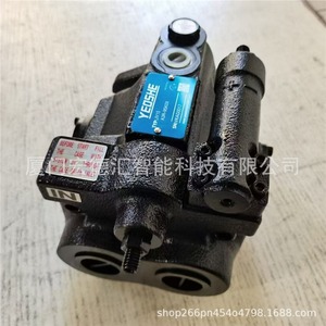Bomba de pistón Yeoshe V70A1R-10X, bomba hidráulica para tuberías con accionamiento electromagnético - Product Image 4
