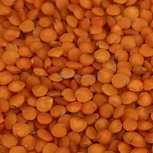 Nihewan Toptan Kırmızı Mercimek Kabuklu Özelleştirme Destekli <span class=keywords><strong>Dal</strong></span> Kırmızı Mercimek - Product Image 3