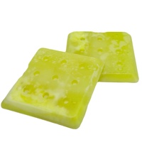 Brique de glace en gel à changement de phase PCM en plastique HDPE à coque dure