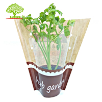 Manchons en papier kraft BOPP pour fleurs de pot d'herbes de légumes de fruits