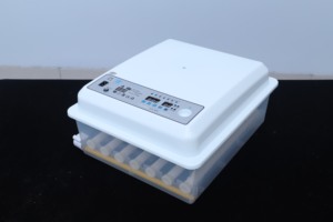 Nueva Incubadora de Huevos <span class=keywords><strong>Mini</strong></span> para 48/<span class=keywords><strong>56</strong></span>/64 Huevos de Gallina, Material Plástico PP, para Incubación de Patos, Codornices y Pavos, Precio en Nepal - Product Image 4