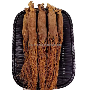 Полный корейский красный женьшень, 1 кг - Product Image 1