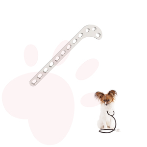 ZMD ortopedi dokter hewan 2.7mm, pelat implan tulang hewan kompresi Distal Femoral - Product Image 1