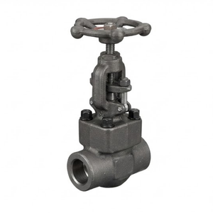 Válvula de Globo de Acero al Carbono Forjado 800LB con Diseño de Husillo Ascendente, Válvula de Control NPT BSPP para Soldadura por Enchufe - Product Image 2