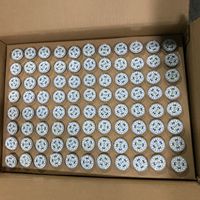 Ampoule LED Cabochon 24V 60V E10 E14 pour Parcs d'Attractions, Lumières Ponctuelles LED 34mm pour Décoration de Manèges, Garantie Commerciale