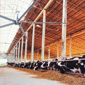 Ventilateur de plafond industriel en alliage d'aluminium 10 pieds (3 m) avec <span class=keywords><strong>5</strong></span> pales et moteur pour système de refroidissement d'air à haut débit - Product Image 5