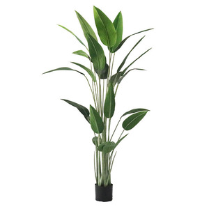 Plante artificielle en pot en soie, type Canna Lily, style Bonsaï, pour salon, 110cm, 140cm, 160cm, 180cm, 210cm - Product Image 5