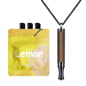 Lung Health Aromatherapy Cigarette Pipe Fashion Pendants Charms <b>Pen</b> Quit Smoking Herbal Smokeless Inhaler Breathing Necklace - Product Image 1