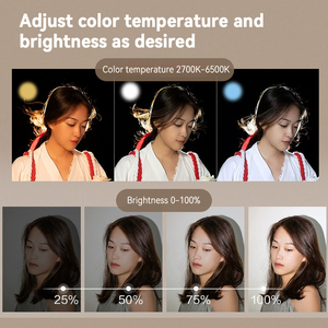 NANLITE ha condotto la luce della macchina fotografica dello Studio della luce dello Studio che riprende la luce della foto messa a fuoco costante sulla lampada di ripresa esterna 8B - Product Image 5