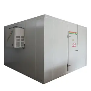 Popular Chicken Vegetable Fruit cold Storage Room