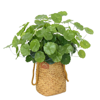 Feuilles artificielles personnalisées, plantes décoratives en pot écologiques, petites fausses plantes de jardin, feuilles artificielles pour aménageurs paysagers