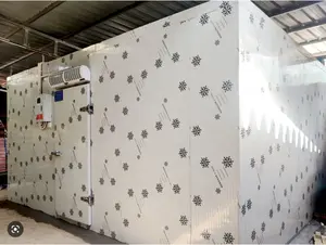 Coldroom-Cambre Refrigerator Refrigerated Container For Walking Fruit And Vegetable Panels
