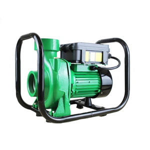 Pompa Solare DC 110V 1500W 2HP, Pompa d'Acqua Centrifuga di Superficie a Energia Solare per Irrigazione Agricola - Product Image 1