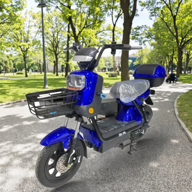 High Power High Speed Electric BIKE 48V 20AH Electric Motorcycle Disc Brake Electric Bicycle 14 Inch Charging Cycles for Sale