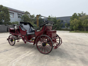 Charrette à chevaux électrique, chariot à chevaux magique unique pour princesse, calèche élégante pour toutes les occasions - Product Image 5