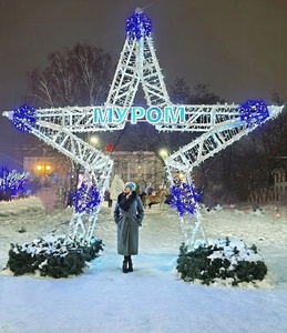 RGB Christmas Star Arch <b>Lights</b> Color Changing LED Gateway for Theme Park Plaza and <b>Light</b> Festival - Product Image 1