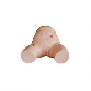 Modèle anatomique 3D complet de cœur humain, œil et dent, <span class=keywords><strong>Gamme</strong></span> Biologie de la Peau, Équipement de laboratoire de biologie - Product Image 6