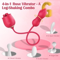 Vibrateur Rose 4 en 1, étanche, pour femmes, vibrateur clitoridien, vibrateur point G, vibromasseur bullet, boule de Kegel, rechargeable par USB, jouet rose