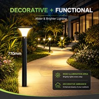 Lámpara Solar LED para Exteriores, Comercial, Impermeable IP65, 1000lm, para Jardín, Parque, Villa, Patio, Calle, Iluminación de Paisajes