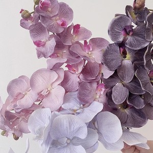 Fleurs artificielles d'orchidées Phalaenopsis Haiyi, 10 têtes, faites à la main, pour mariage, décoration de la maison, accessoires de photographie - Product Image 3
