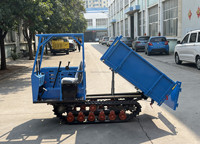 CE Neuer Icles 1T Aufsitz-Raupendumper mit EPA Euro V Motor, geländegängiger Raupentransporter, Mini-LKW