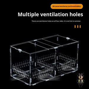 Terrario in Acrilico Altamente Trasparente per Allevamento di Rettili, Scatola Espositiva per Ragni, Lucertole, Gechi, Piccolo Habitat Ecologico per Mangiatoie di Rettili - Product Image 5