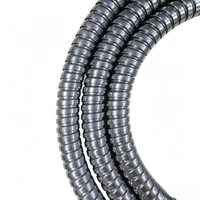 Tuyau de douche flexible pour projet hôtelier, 1,5 m, 14 mm, SS201, double verrouillage, tube intérieur en PVC, écrou en alliage de zinc, âme en laiton